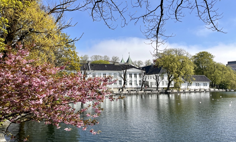 Vårstemning fra Breiavatnet i Stavanger