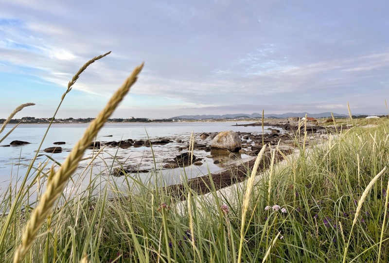 Standstrand med marehalm 