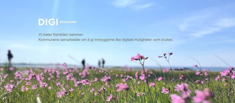 Blomstereng med havet